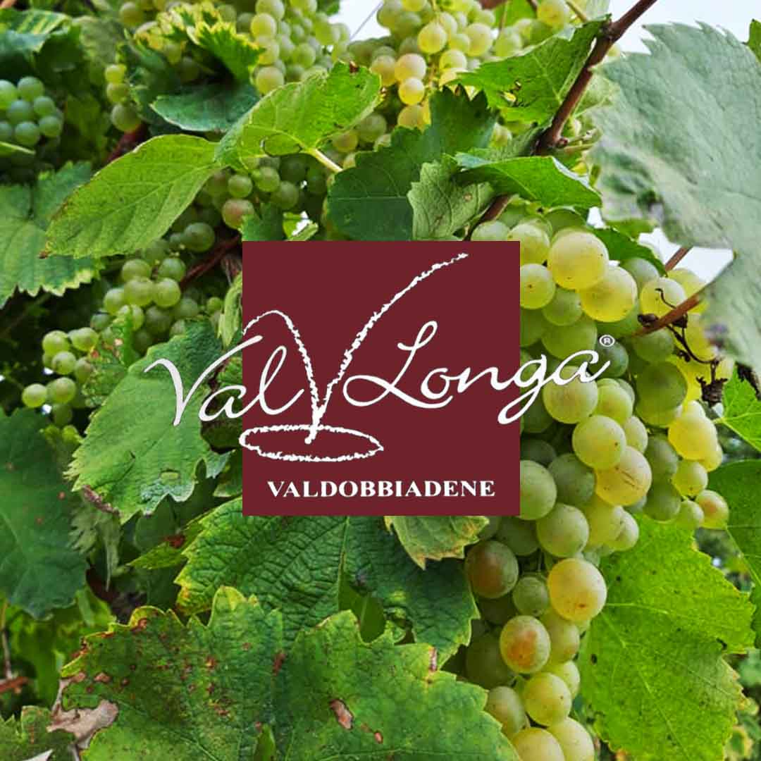 Spumanti e Vini - Val Longa