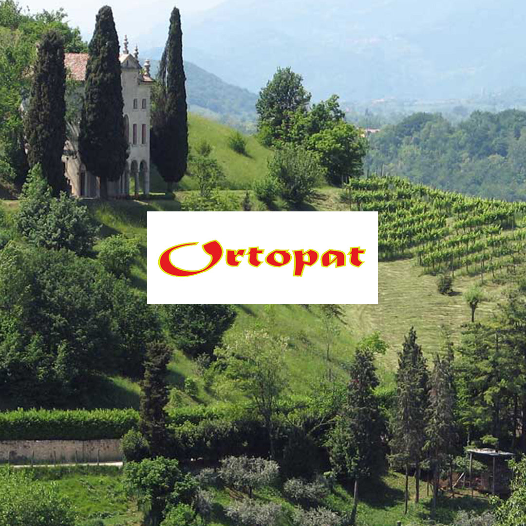 Sottoli e Sottoaceti - Ortopat