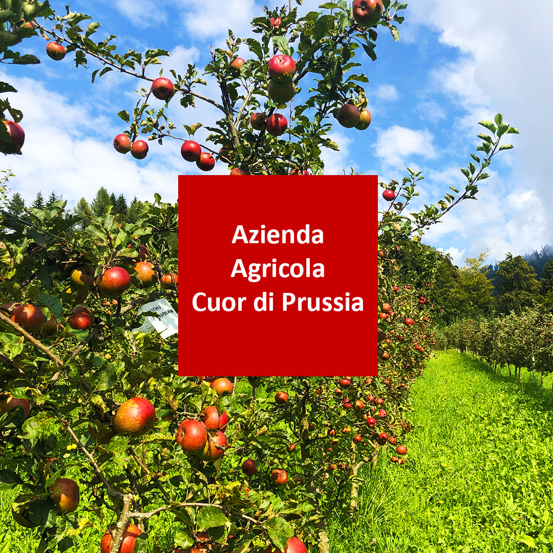 Composte e Mostarde - Cuor di Prussia