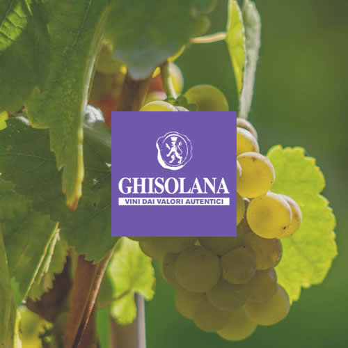 Spumanti e Vini - Ghisolana