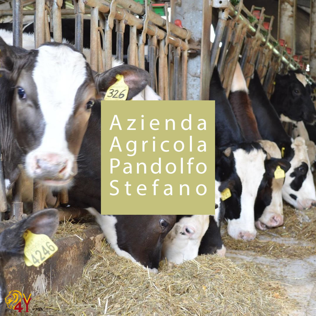 Formaggi - Azienda Agricola Pandolfo Stefano