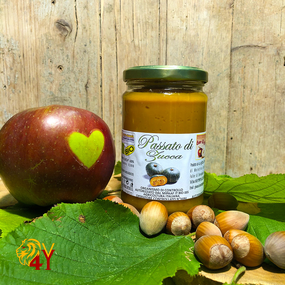 Passato di Zucca BIO